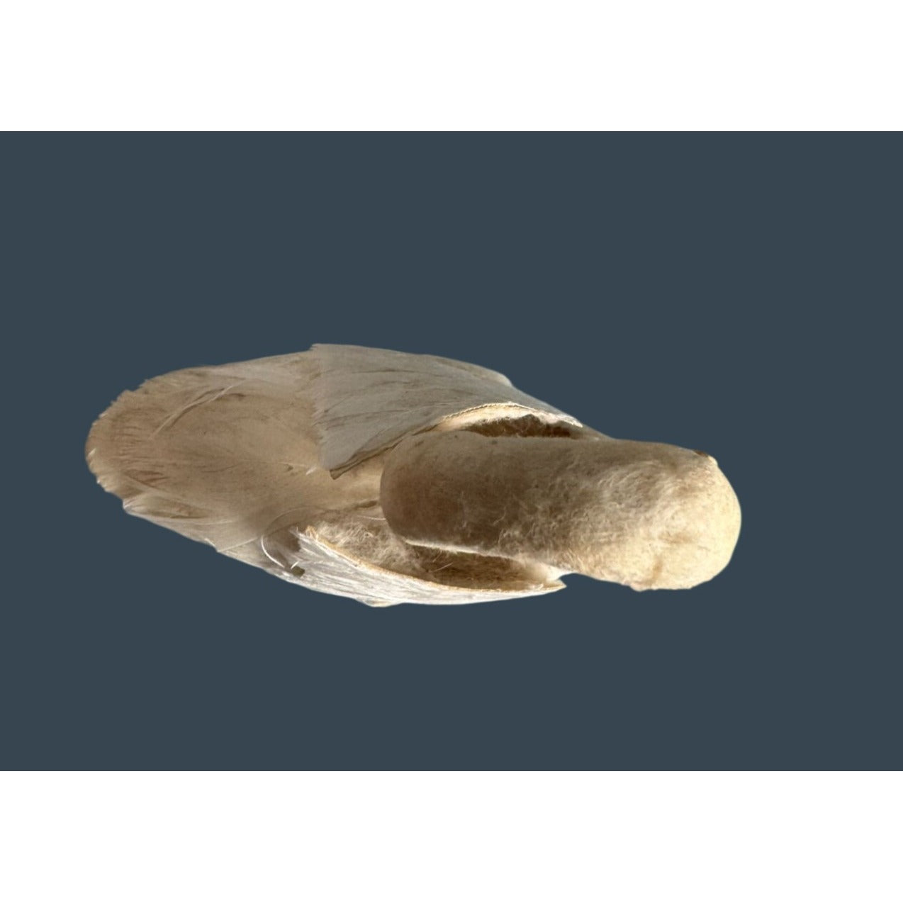 Vintage Feather Swan Figurine White Cotton Batting Styrofoam Body 3.25 Inch