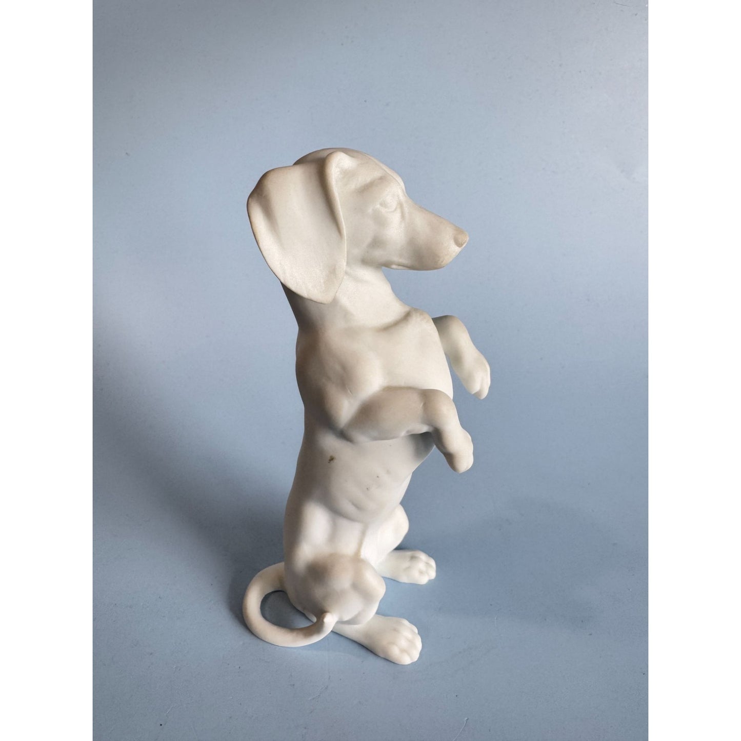 Vintage Kaiser White Porcelain Dachshund Figurine 5.5" Tall Standing On Hind Legs