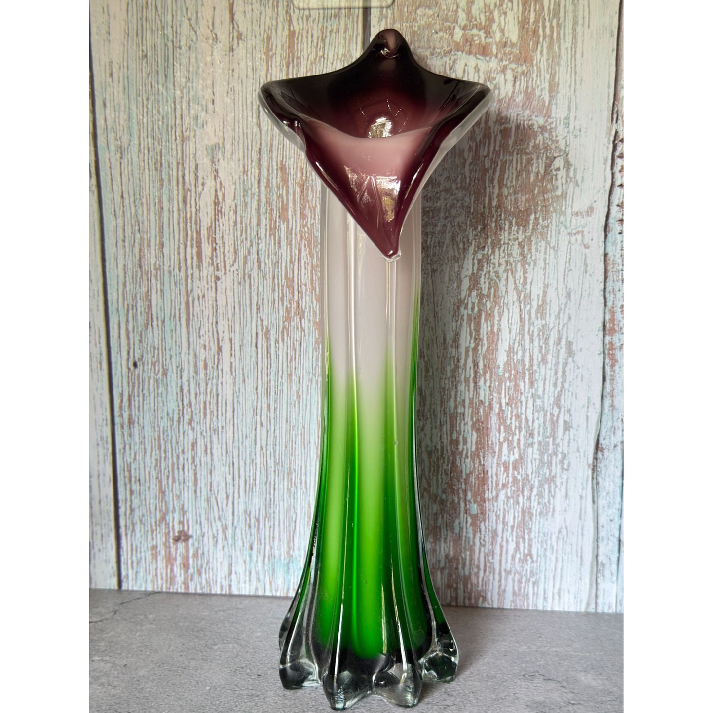 Jack-In-The-Pulpit Hand-Blown Art Glass Vase Green & White Ombre w/Purple Rim 12" Tall
