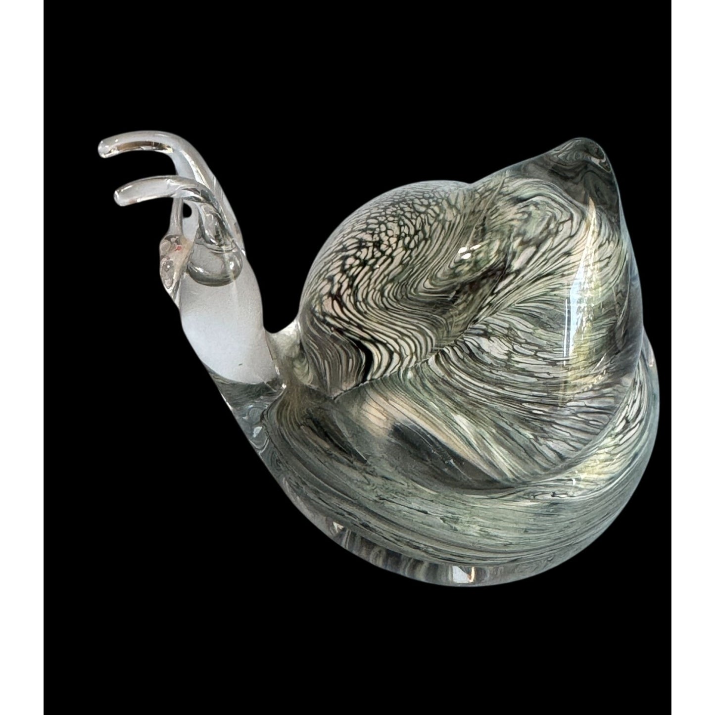 Teign Valley Glass Snail Paperweight Clear Black White Swirl Art Glass Signed