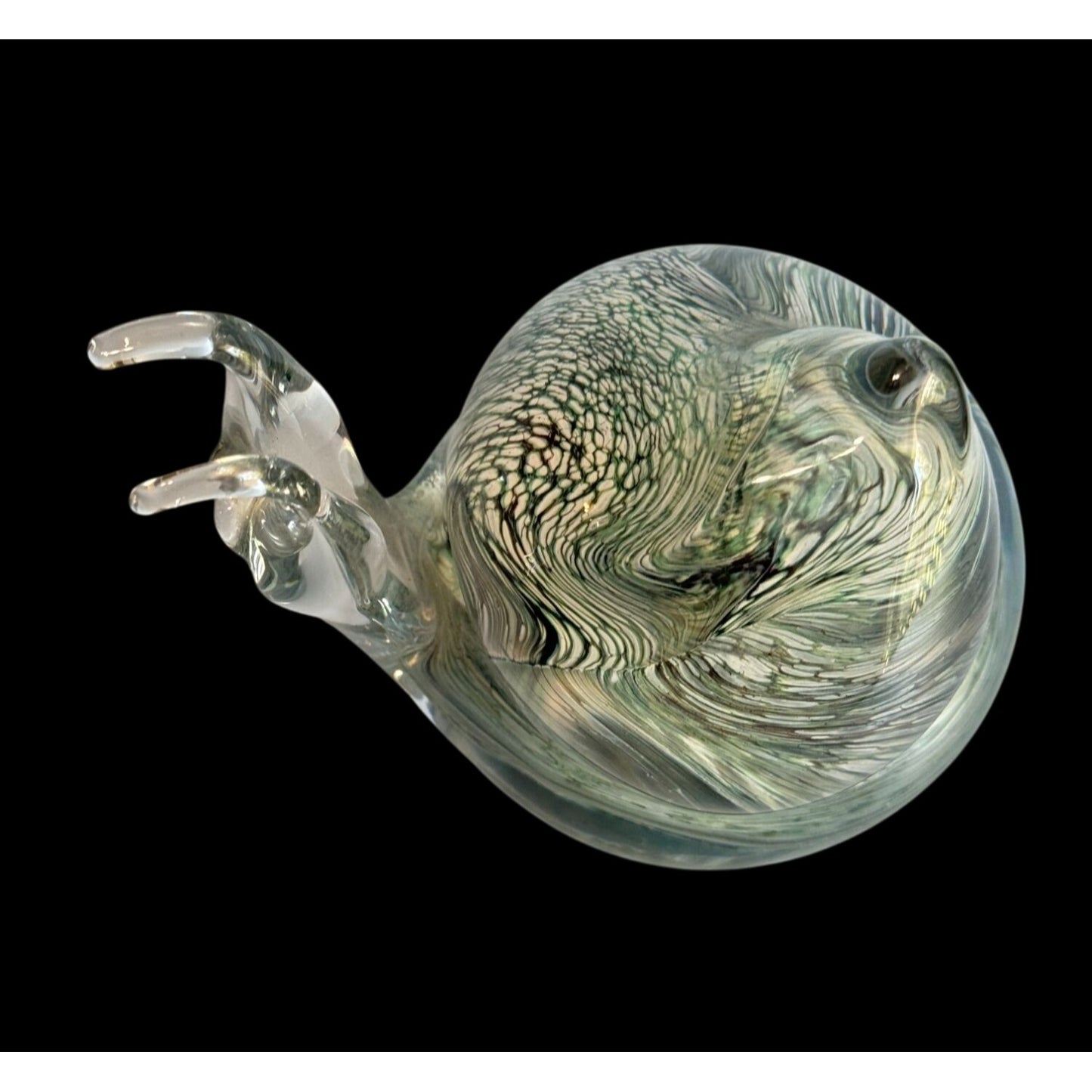 Teign Valley Glass Snail Paperweight Clear Black White Swirl Art Glass Signed