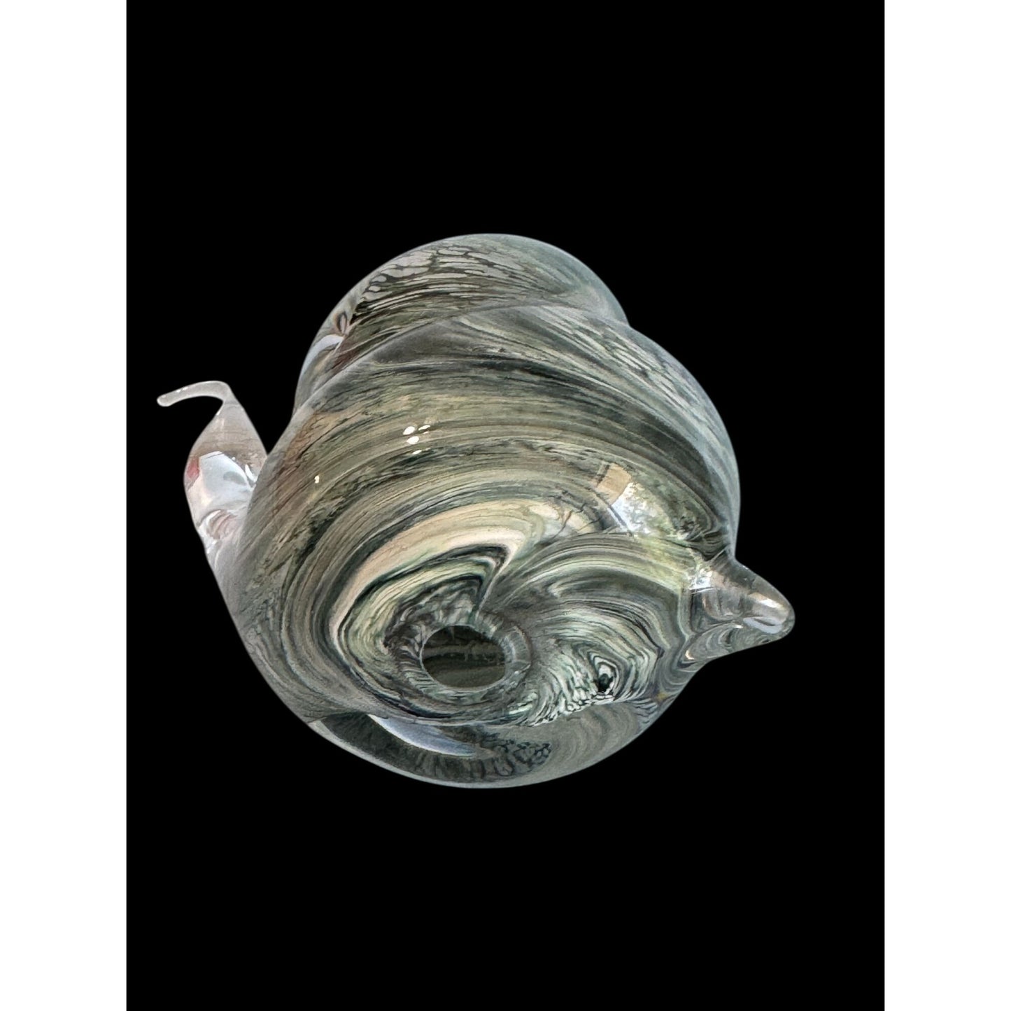 Teign Valley Glass Snail Paperweight Clear Black White Swirl Art Glass Signed