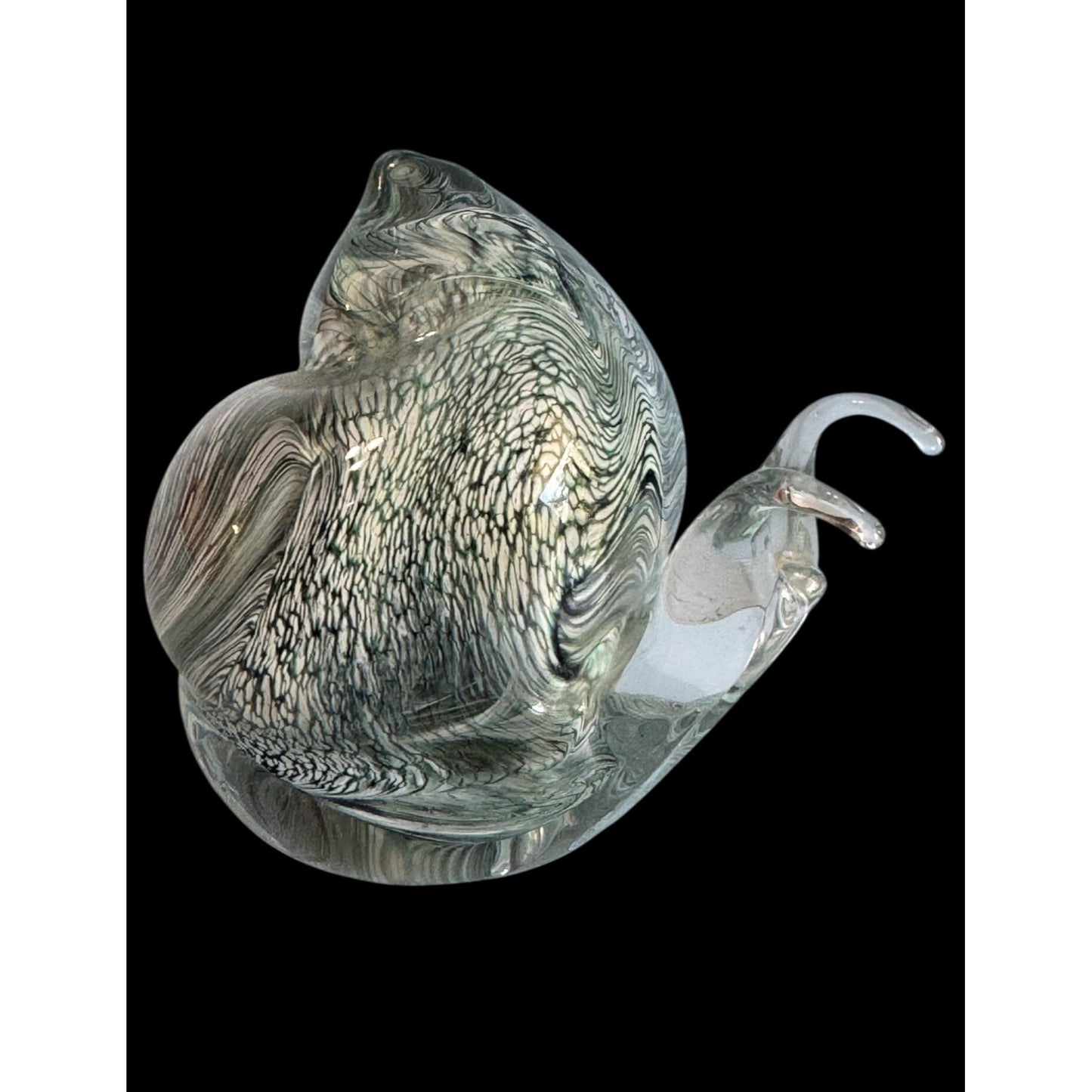 Teign Valley Glass Snail Paperweight Clear Black White Swirl Art Glass Signed