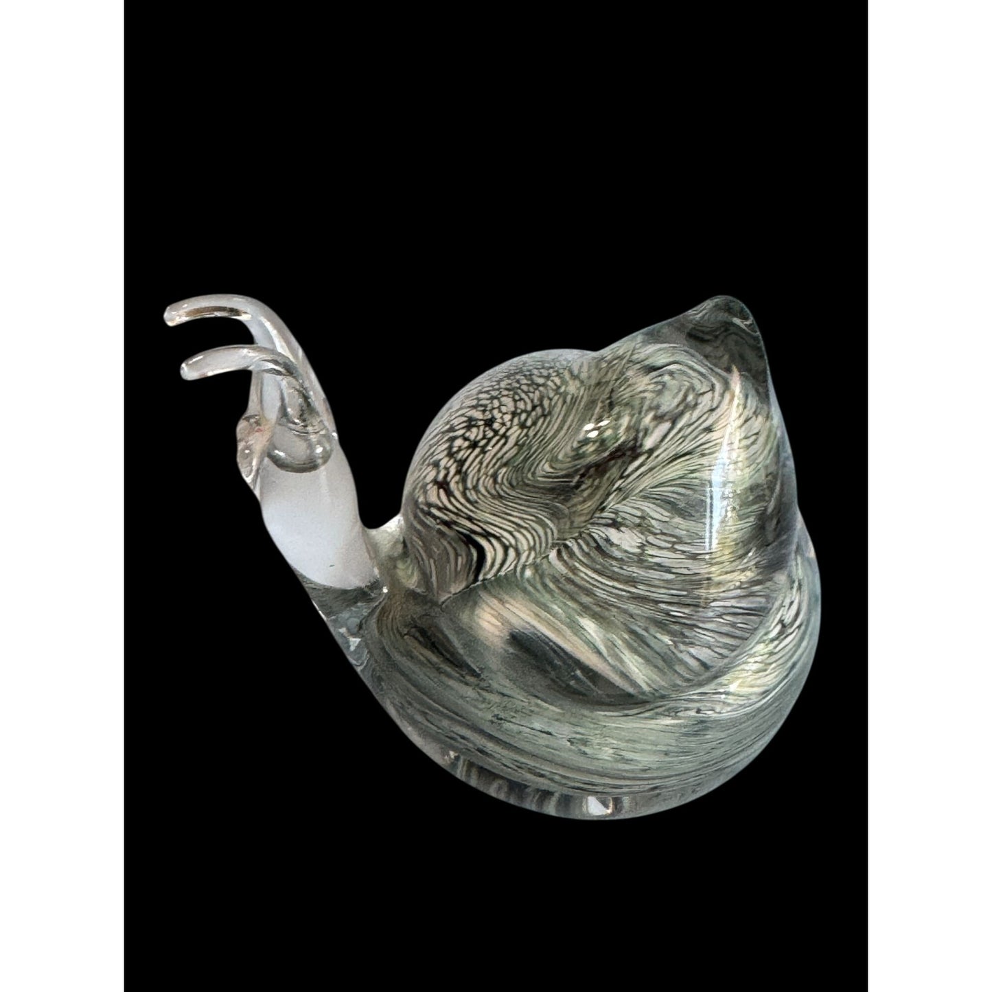Teign Valley Glass Snail Paperweight Clear Black White Swirl Art Glass Signed