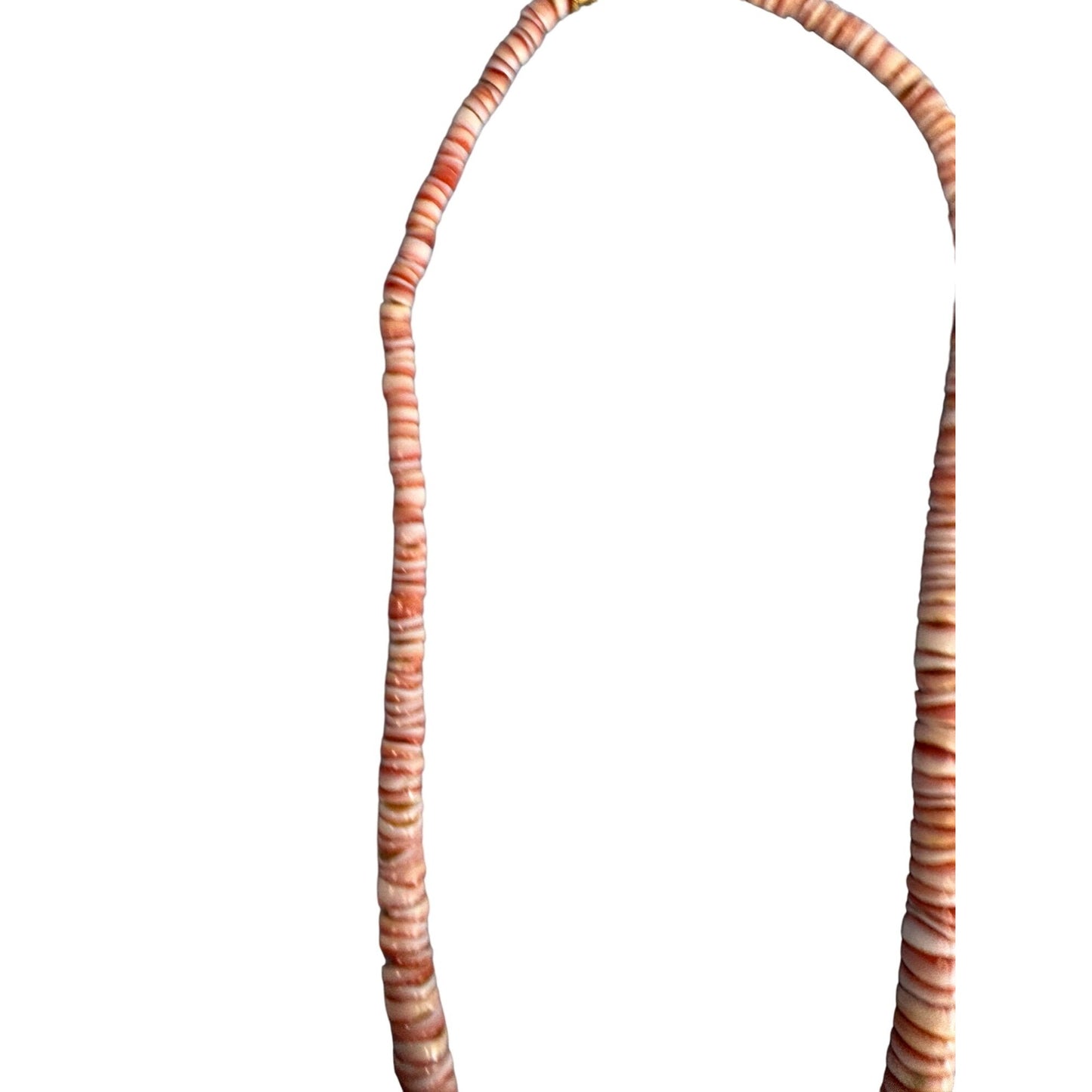 Spiny Oyster Puma Shell Heshi Tribal Necklace 17 1/2"